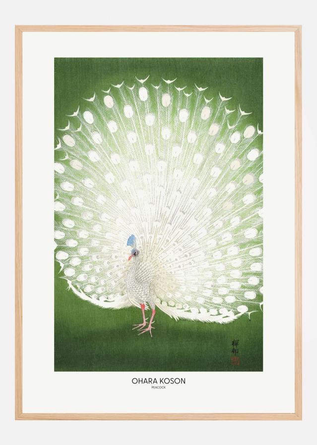 Peacock - Cropped Poster