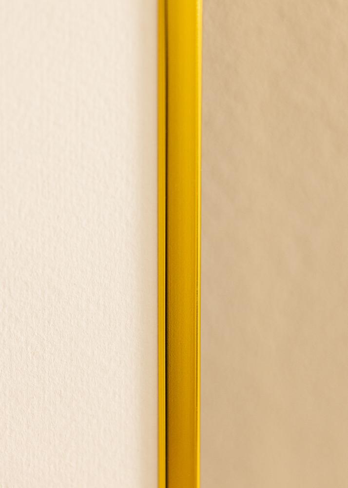 Cornice in alluminio Vetro acrilico Oro 61x91,5 cm