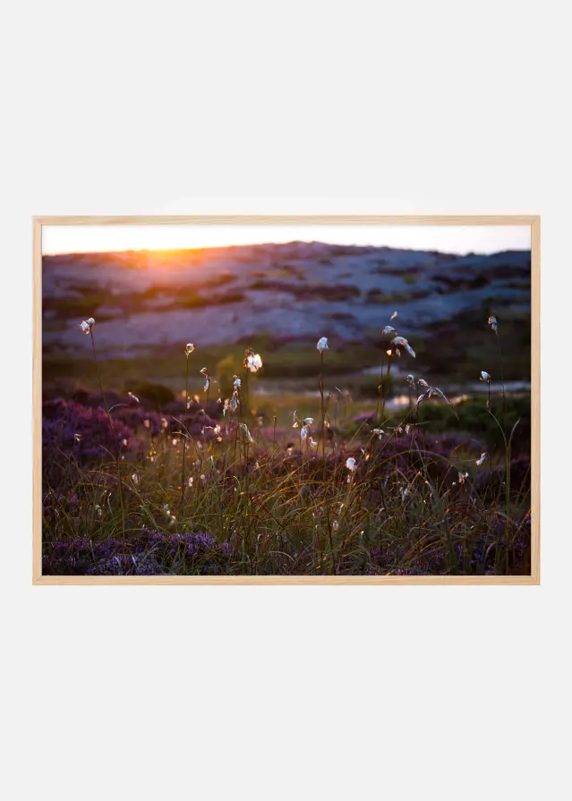 Summer evening on the rocks Poster