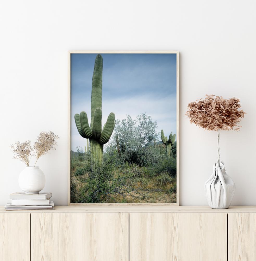 Cactus Land Poster