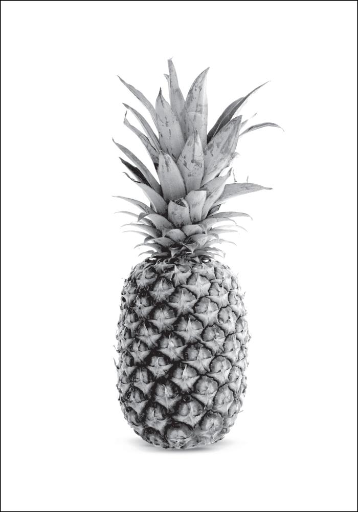 Pineapple Grey Poster