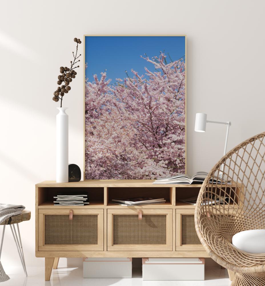 Cherry-Tree Poster