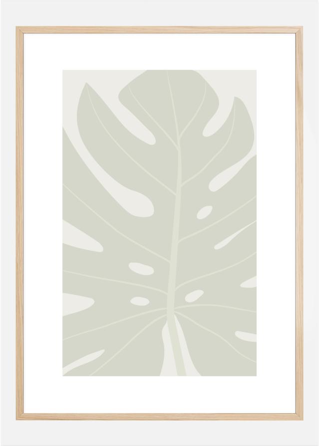 MONSTERA Poster