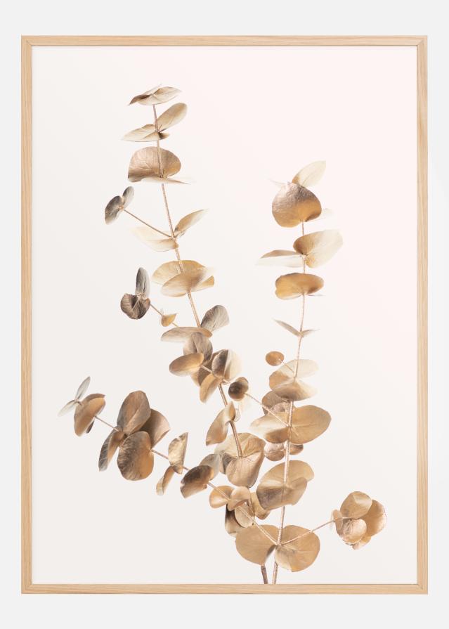 Eucalyptus Gold II Poster