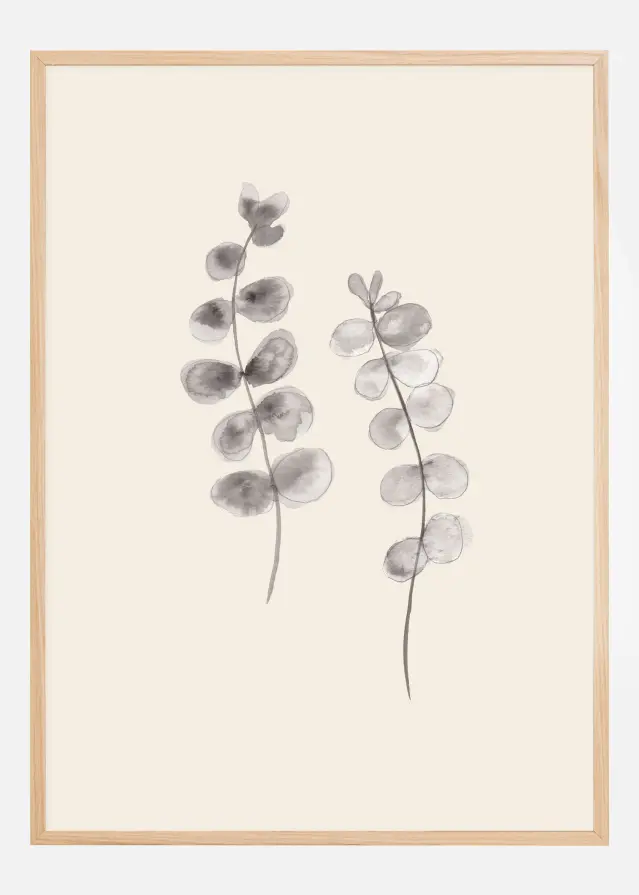 Eucalyptus Twigs Poster