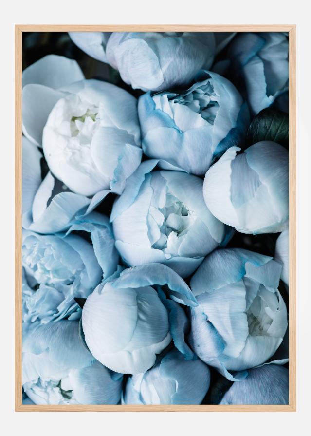 Peonies Poster