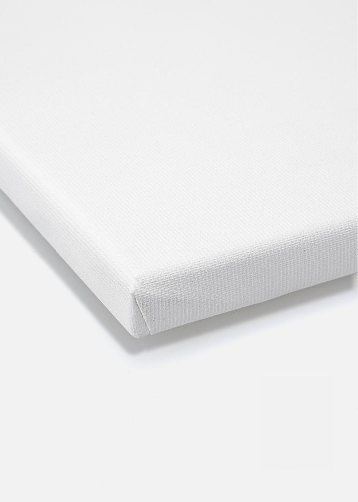 Tela per dipingere Premium Bianco 80x120 cm