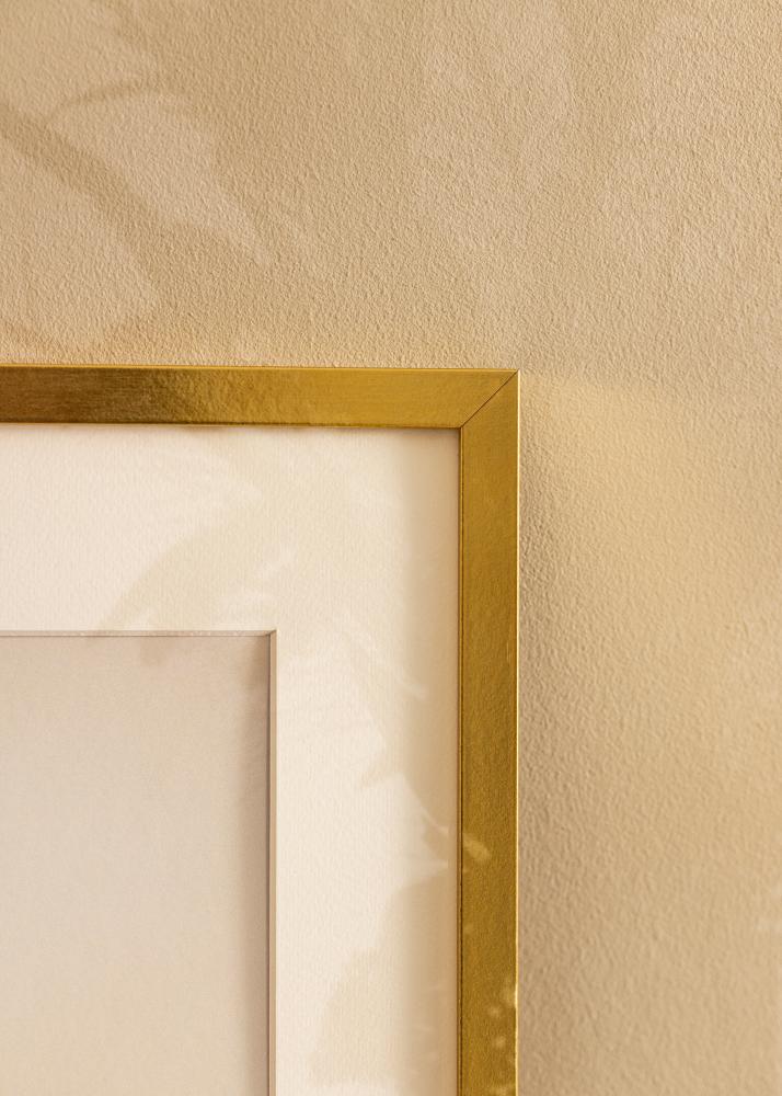 Cornice Minerva Acrilico Oro 50x65 cm