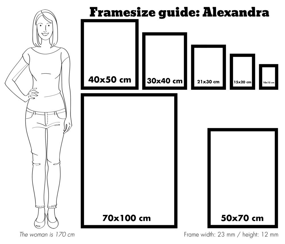 Cornice Alexandra Vetro acrilico Nero 50x70 cm