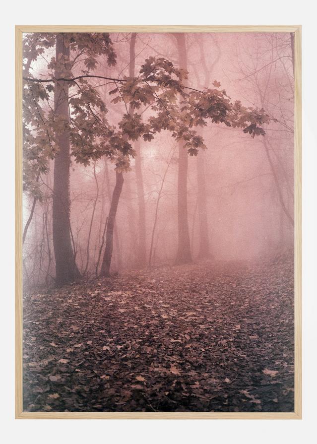 Pink Forrest Poster