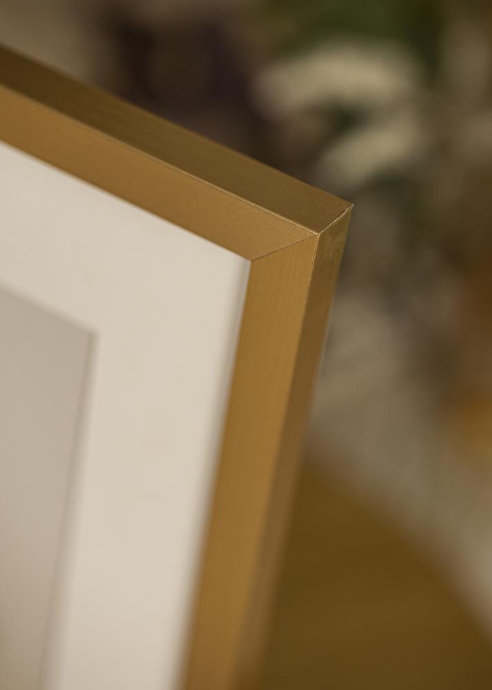 Cornice Selection Oro 40x60 cm - Passe-partout Bianco 32,9x48,3 cm (A3+)