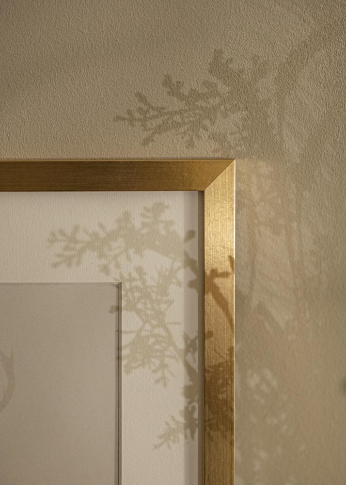 Cornice Selection Vetro acrilico Oro 40x60 cm