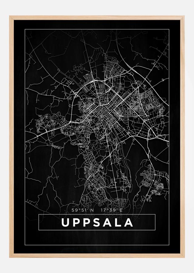 Mappa - Uppsala - Poster nero