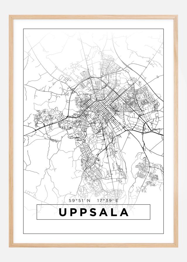 Mappa - Uppsala - Poster bianco