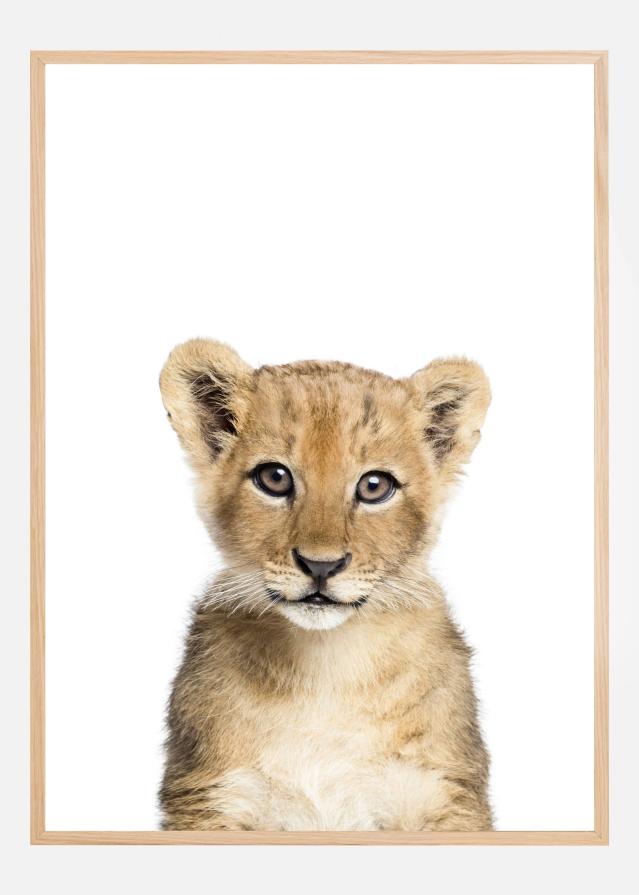 Baby Lion Poster