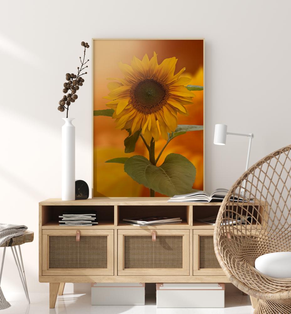 Sunflower Poster