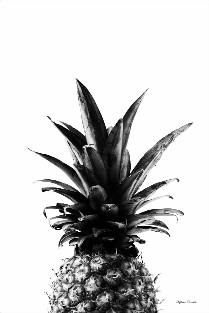 Pineapple B&W Poster