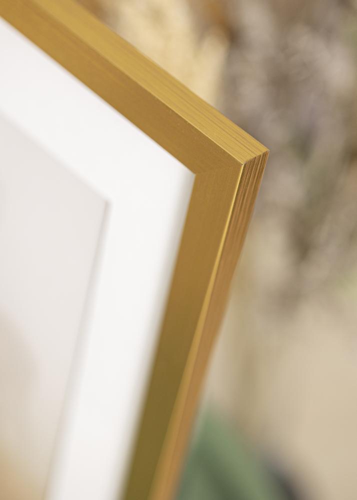 Cornice Gold Wood Vetro acrilico 60x100 cm