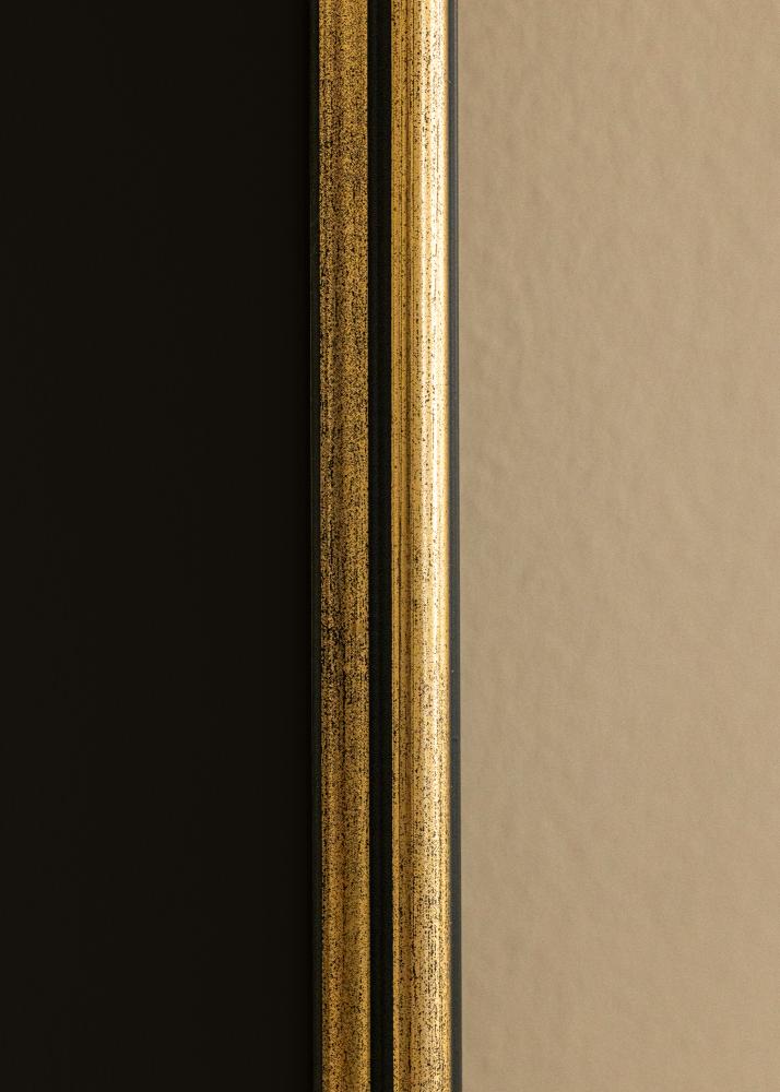 Cornice Horndal Oro 50x60 cm - Passe-partout Nero 16x20 inches