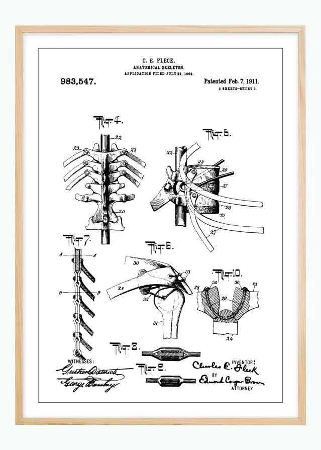 Disegni di brevetti - Anatomia dello scheletro III Poster