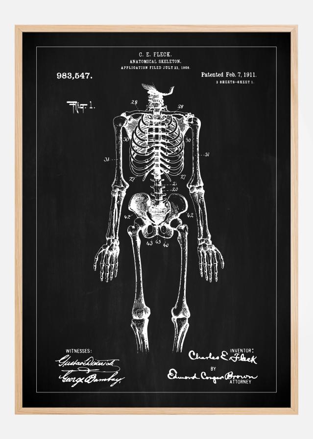 Disegni di brevetti - Anatomia dello scheletro I - Nero Poster