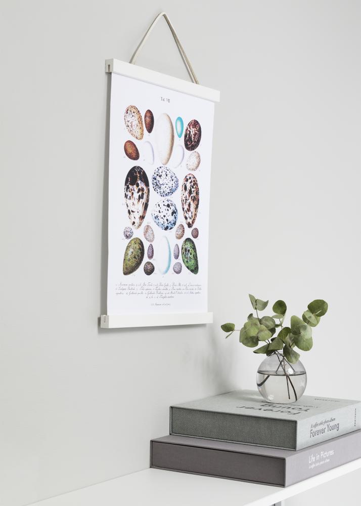 Ganci per poster Bianco - 50 cm