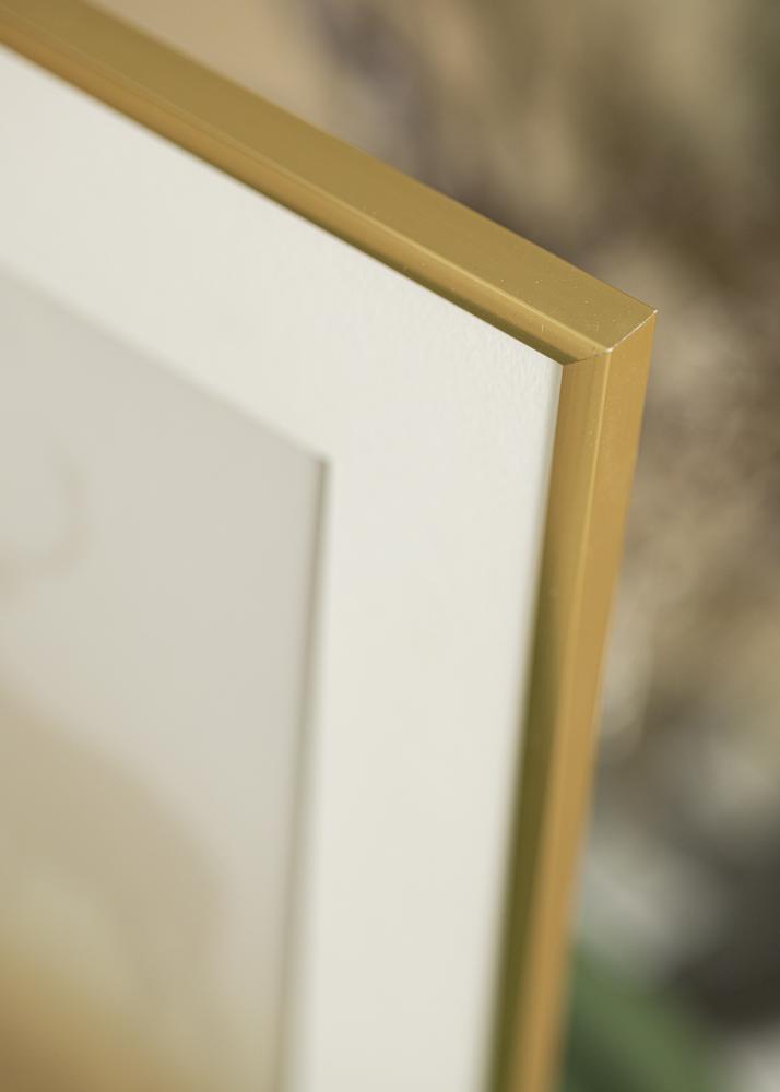 Cornice New Lifestyle Shiny Gold 60x80 cm - Passe-partout Bianco 50x65 cm